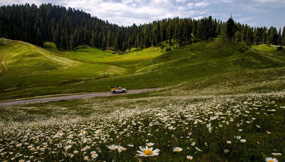 Jammu and Kashmir